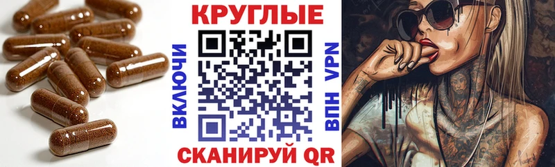 купить  сайты  Кстово  Экстази XTC 