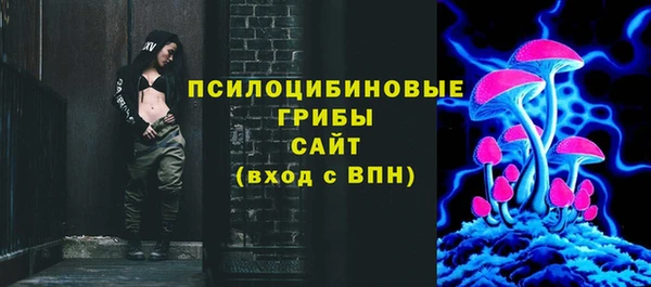 МДПВ Бутурлиновка